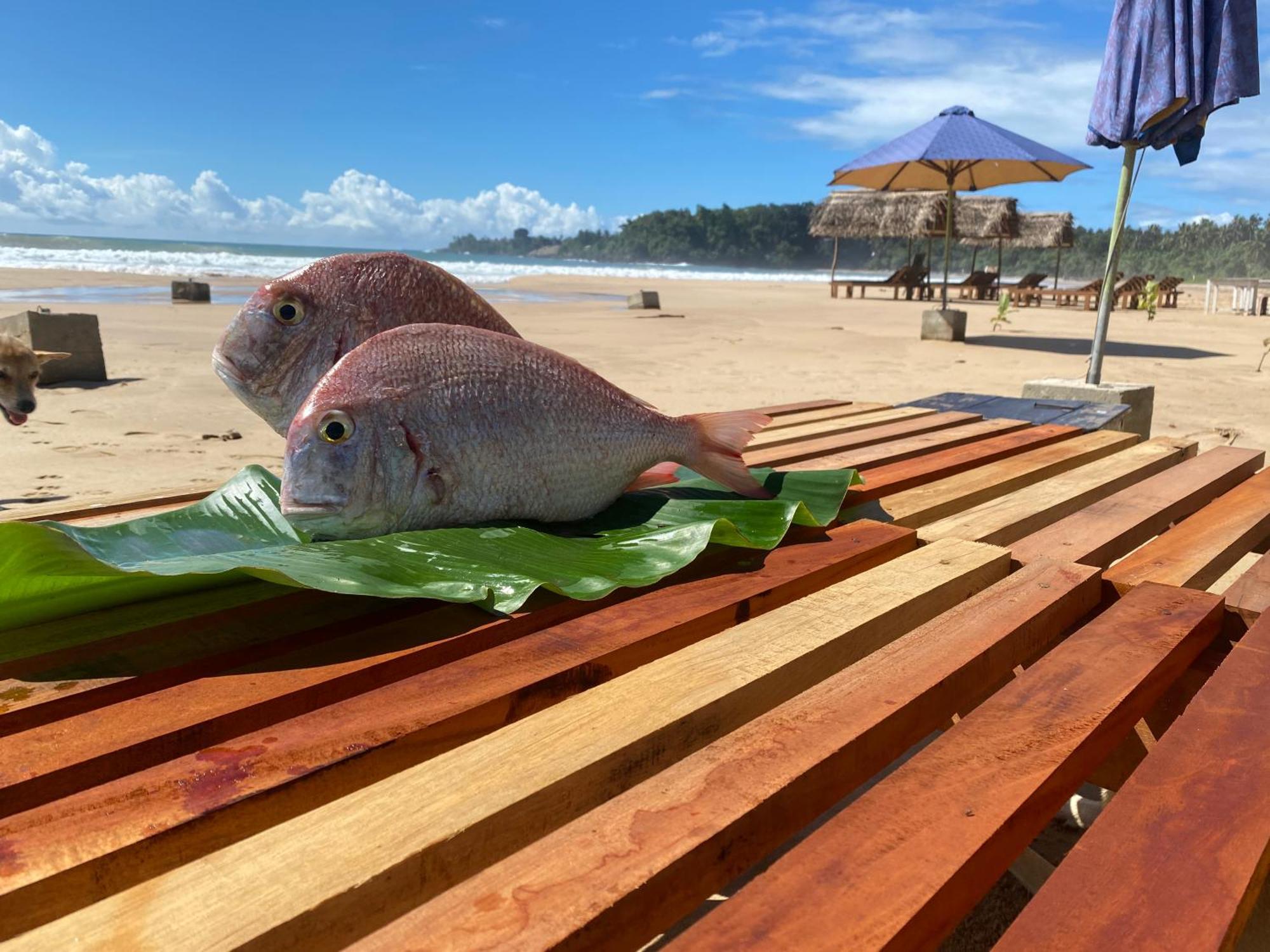 Talalla Bay Beach Екстер'єр фото